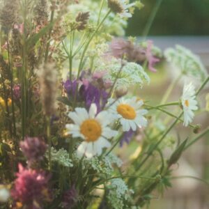 Velvet Pastel Grace Bouquet - Medium
