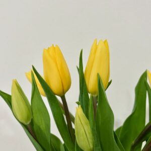 Serene Cream Fresh Flower Bouquet - Medium