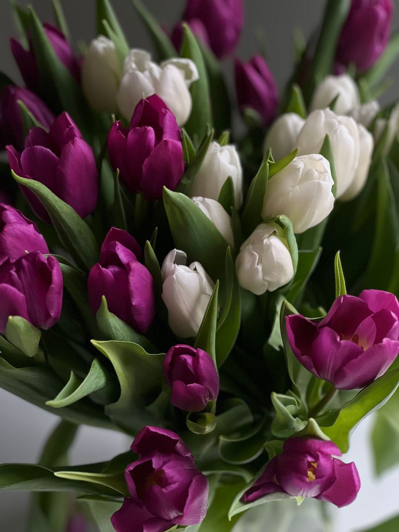 Signature Pink White Condolence Flowers - Deluxe